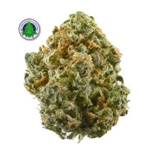 Buy Blue Dream Weed Strain