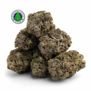 Where to buy Northern Lights strains online