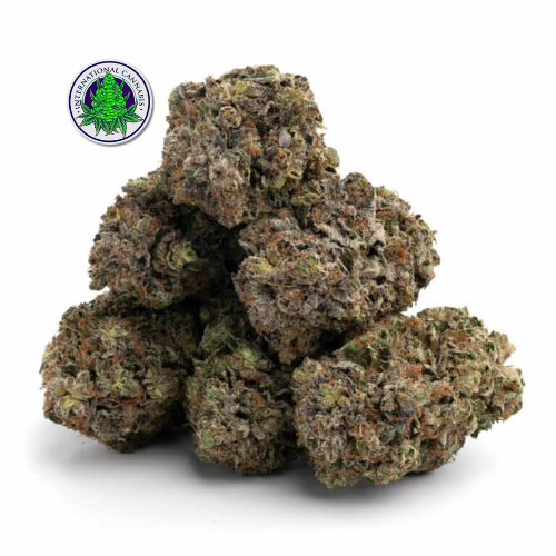 Where to buy Northern Lights strains online